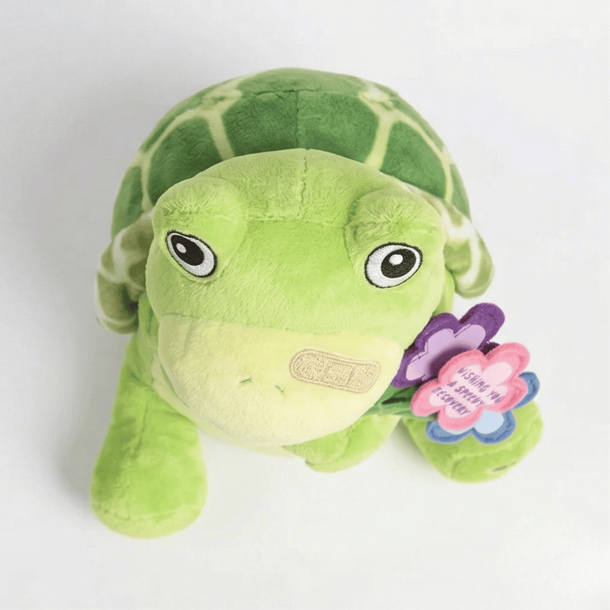 "Mercy" the 11in "Wishing You a Speedy Recovery" Animated Stuffed Turtle