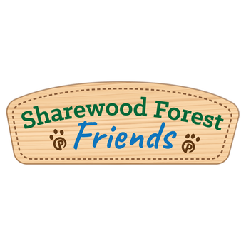 Sharewood Forest Friends - OrangeOnions Wholesale