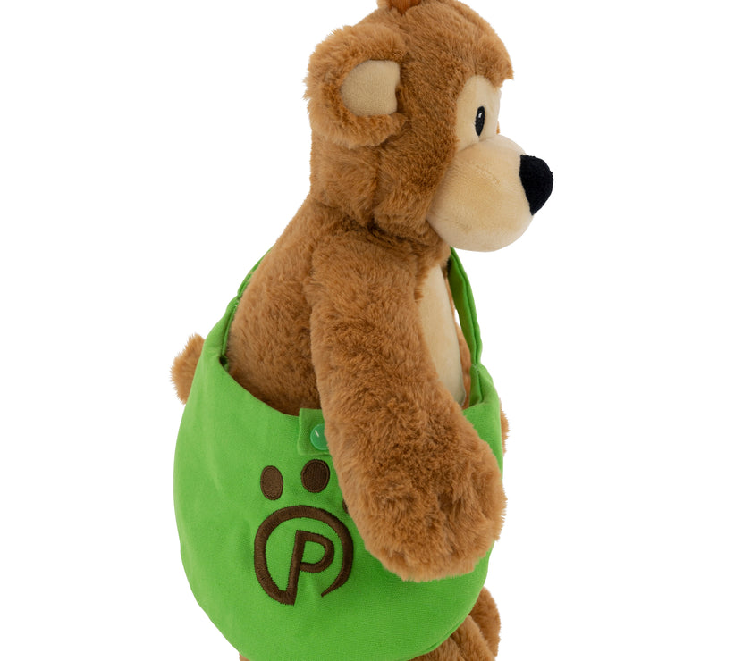 Pawley the Teddy Bear | 14" Stuffed Animal with Matching Bags