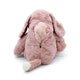 Pinky Doodle Dog 2‑in‑1 Blanket & Plush Toy | Soft Micro Plush Kids Gift