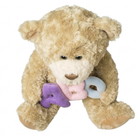 ABC Teddy Bear Plush Stuffed Animal Soft Baby Toy Kids Gift Cute 12"