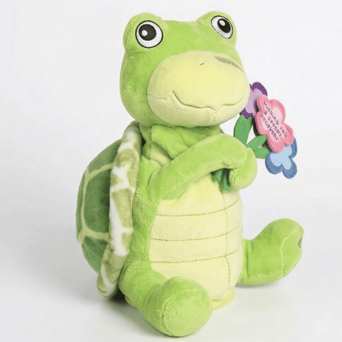 "Mercy" the 11in "Wishing You a Speedy Recovery" Animated Stuffed Turtle
