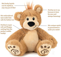 Plushible Bear 10 Inch (Sitting) - OrangeOnions Wholesale