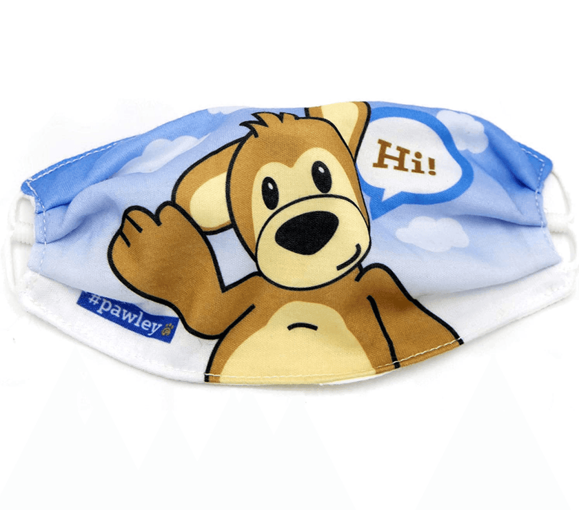 Plushible Face Masks Bear "Hi" (Single) - OrangeOnions Wholesale