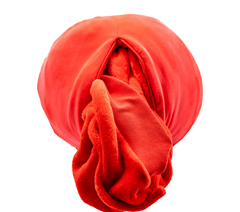Elmo Sesame Street Blanket Hoodie Plushie Pillow
