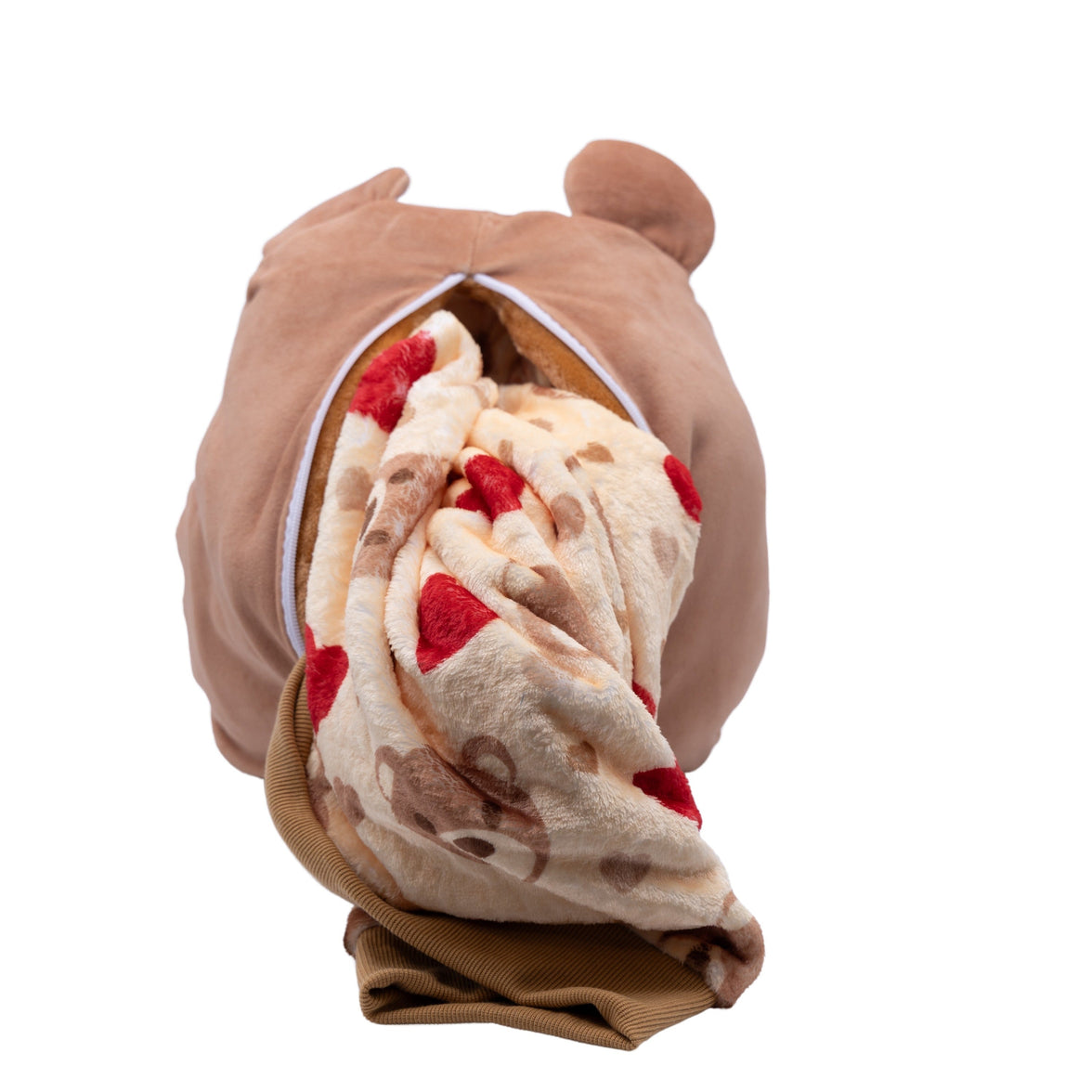 Teddy Hearts Snugible 2-in-1 Blanket Hoodie & Pillow